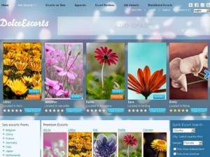 460431_dolce_pixel_escort_directory_wordpress_theme_app